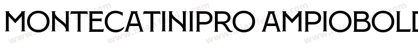MontecatiniPro AmpioBold字体转换